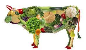 vegetarianstvo
